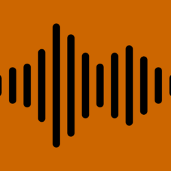 voice-3