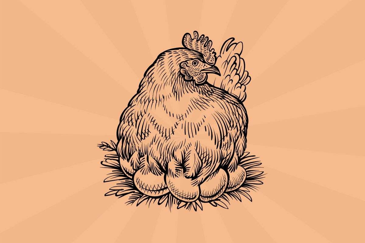 Super Chickens vs. Super Coops chickens-email